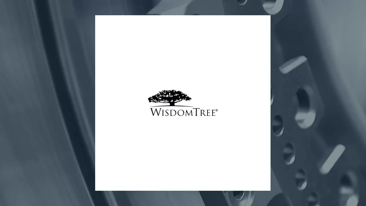 WisdomTree Cloud Computing Fund (NASDAQ:WCLD) Stock Price Down 0.4% – Here’s Why