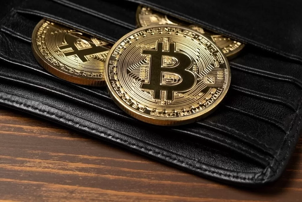 Memecoins lideran subidas cripto: Dogwifhat y Fartcoin superan al mercado