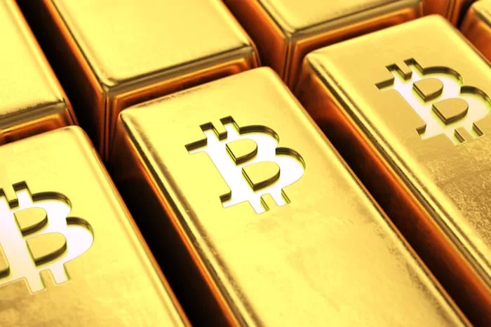Crypto Treasury Companies Are Bullish on Bitcoin and XRP. But Don’t Invest.